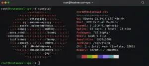 Linux VPS infrastructure environment with Ubuntu server